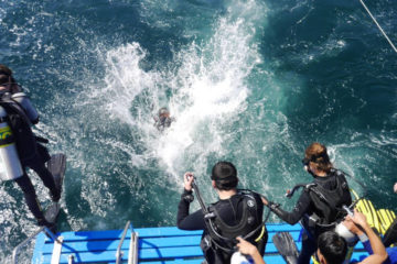 Thai Sea_Burma_Jumping from dive platform (850)